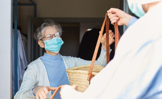 grocery delivery service for elderly